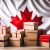 Subscription Box Craze: Why Canadian Parcel Forwarders Are Key to Global Success